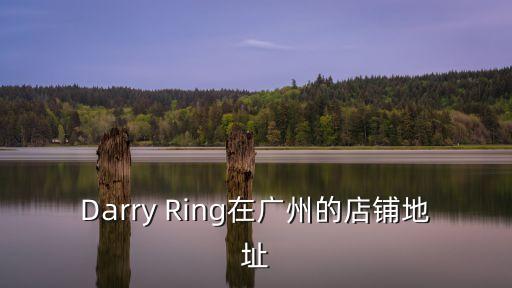 Darry Ring在廣州的店鋪地址