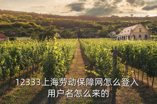 上海市勞動保障服務網密碼，上海勞動保障服務網 網上辦事密碼 要帶哪些證件