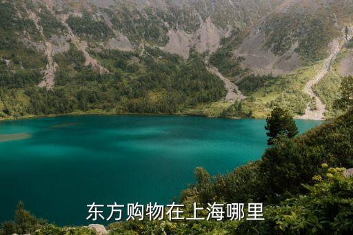 東方購物在上海哪里