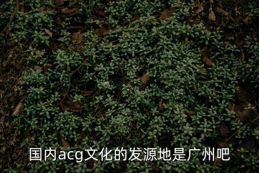 國內acg文化的發源地是廣州吧