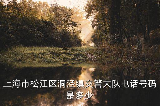 上海市交警大隊電話區號，上海市松江區洞涇鎮交警大隊電話號碼是多少