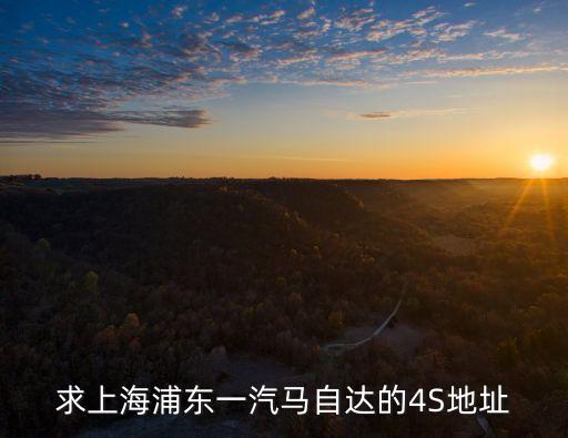 求上海浦東一汽馬自達(dá)的4S地址