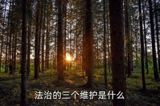 法治是什么，法制社會(huì)和法治社會(huì)有什么不一樣