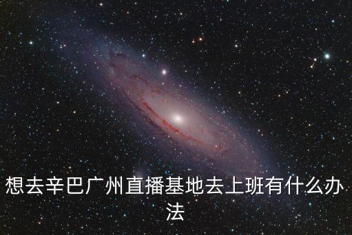 想去辛巴廣州直播基地去上班有什么辦法