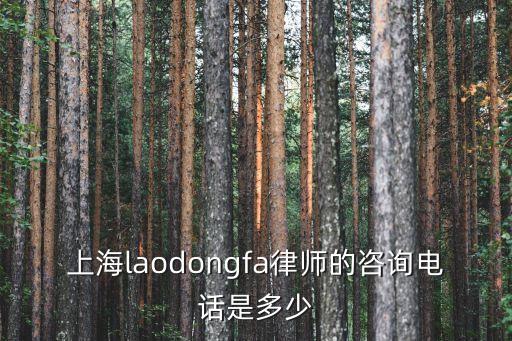 上海laodongfa律師的咨詢電話是多少