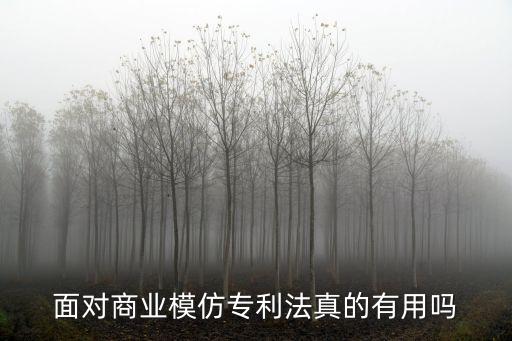 面對商業模仿專利法真的有用嗎