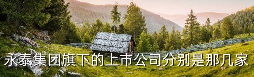 廣州永瑞控股集團是上市公司嗎，我聽說永泰集團有3家上市公司除了永泰能源和海德股份還有一家