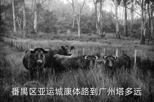 廣州亞運城到客村多遠，從客村站坐幾號線的地鐵到廣州亞運城