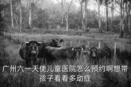 語言發育遲緩 推選廣州天使約，廣州天使簡約