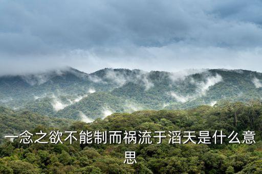 一念之欲不能制而禍流于滔天是什么意思