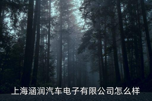 上海市企涵汽車電子有限公司，上海有哪些做汽車電子的企業(yè)