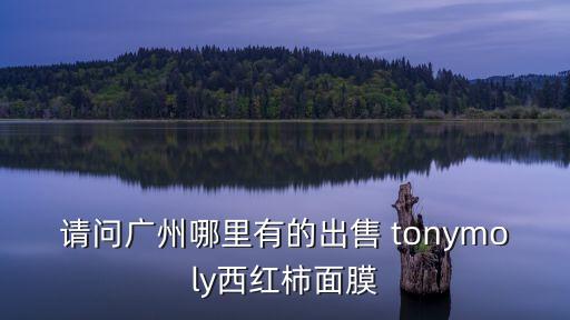 請問廣州哪里有的出售 tonymoly西紅柿面膜
