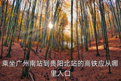 乘坐廣州南站到貴陽北站的高鐵應從哪里入口