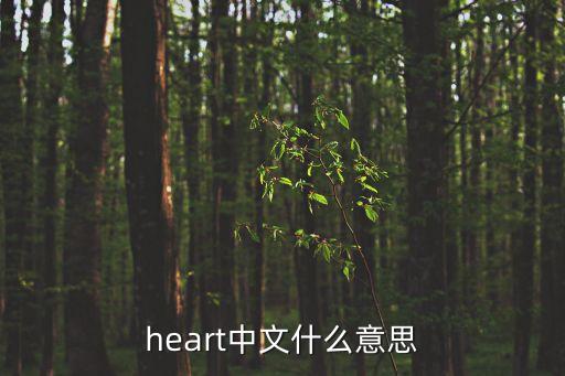 heart中文什么意思