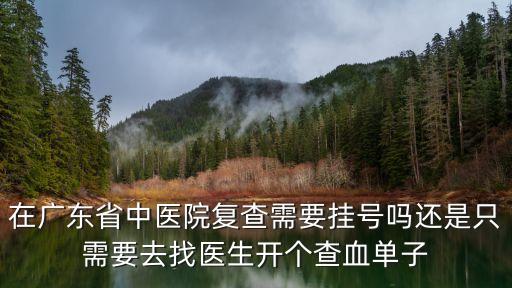 在廣東省中醫院復查需要掛號嗎還是只需要去找醫生開個查血單子