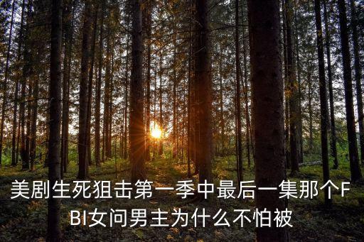 背著步槍回明朝，推薦幾本架空歷史小說(shuō)類似背著步槍回明朝我的明末生涯這樣