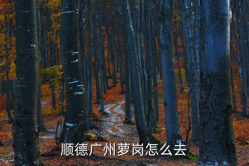 順德廣州蘿崗怎么去