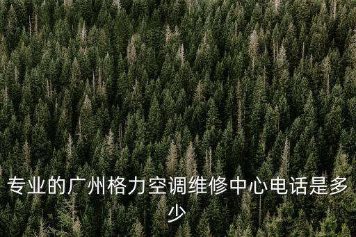 專業的廣州格力空調維修中心電話是多少