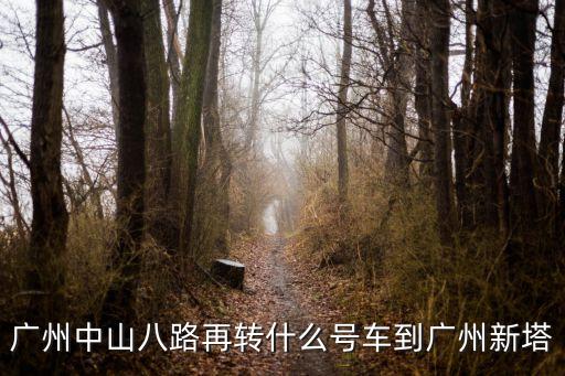廣州中山八路再轉什么號車到廣州新塔