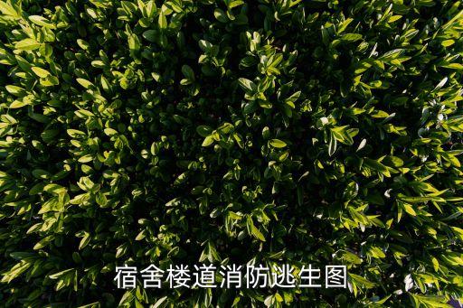 火災逃生圖，火災逃生路線圖必須是圖