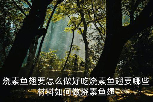 素魚翅，三絲素魚翅要怎么做好吃三絲素魚翅要哪些材料如何做三絲素魚翅