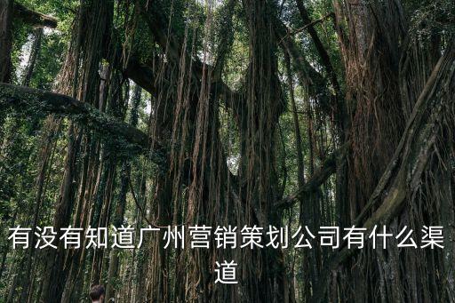 有沒有知道廣州營銷策劃公司有什么渠道