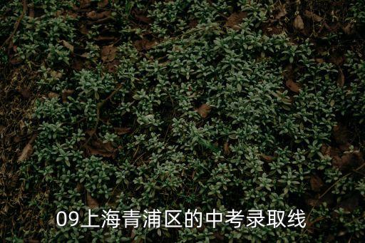 上海市青浦區各個學校中考分數線，上海市青浦區 中考升學率