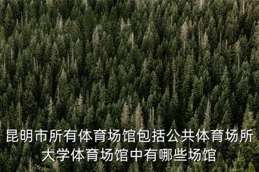 昆明市所有體育場館包括公共體育場所大學體育場館中有哪些場館