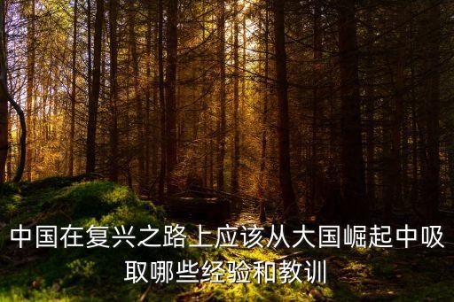 大國崛起中國，中國在復興之路上應該從大國崛起中吸取哪些經驗和教訓