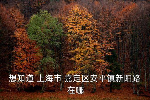 想知道 上海市 嘉定區(qū)安平鎮(zhèn)新陽路 在哪