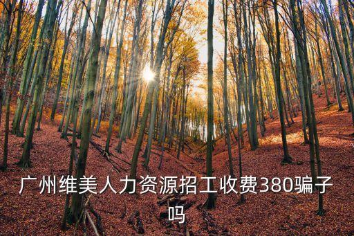 廣州維美人力資源招工收費(fèi)380騙子嗎
