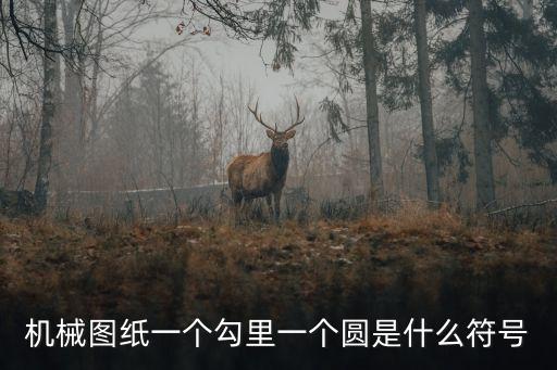 一個圓，1個圓是什么四字詞語