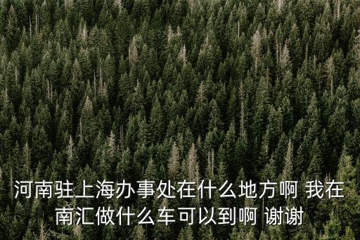 河南駐上海辦事處在什么地方啊 我在南匯做什么車可以到啊 謝謝