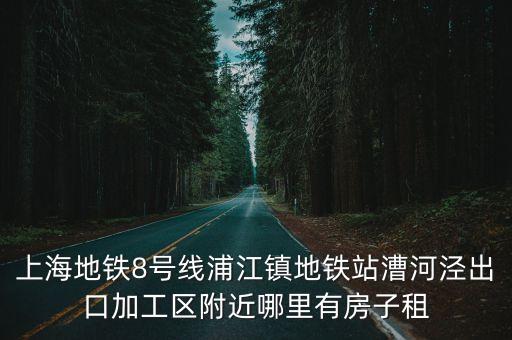 上海地鐵8號線浦江鎮地鐵站漕河涇出口加工區附近哪里有房子租