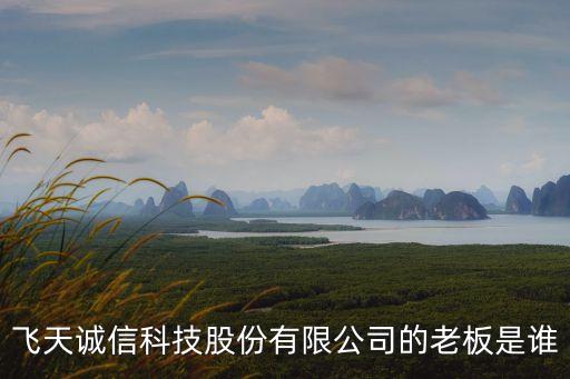 飛天誠信科技股份有限公司的老板是誰