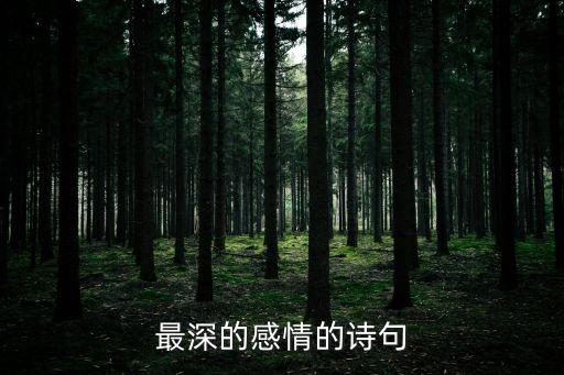 情感的詩句，最深的感情的詩句