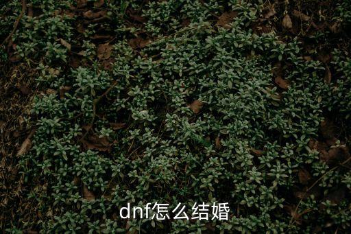 dnf怎么結(jié)婚