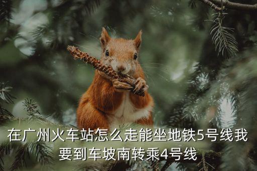 在廣州火車站怎么走能坐地鐵5號線我要到車坡南轉(zhuǎn)乘4號線