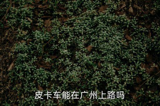 皮卡車能在廣州上路嗎