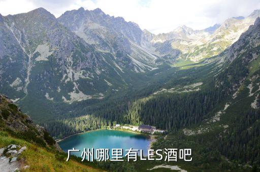 廣州哪里有LES酒吧