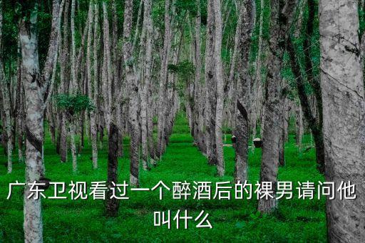廣東衛視看過一個醉酒后的裸男請問他叫什么