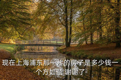上海市浦東新區(qū)東建路房?jī)r(jià)，上海浦東新區(qū)的房?jī)r(jià)大概在多少價(jià)位
