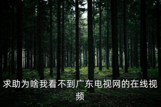 求助為啥我看不到廣東電視網的在線視頻