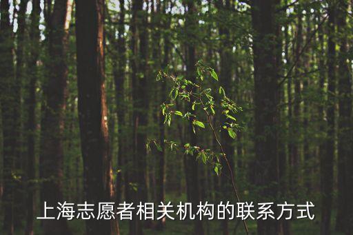 上海市消防志愿者服務(wù)基地，誰知道這是哪兒上海市徐匯區(qū)虹橋路808號加華商務(wù)廣場A8310室