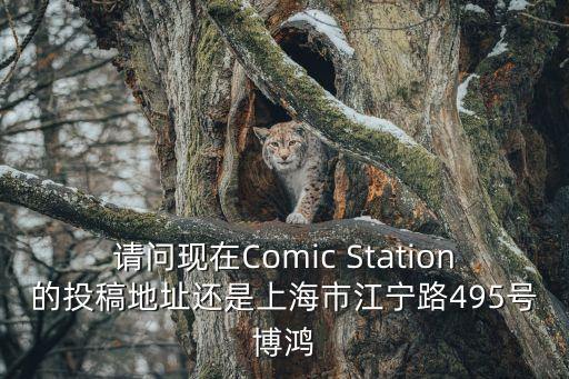 請問現在Comic Station的投稿地址還是上海市江寧路495號博鴻