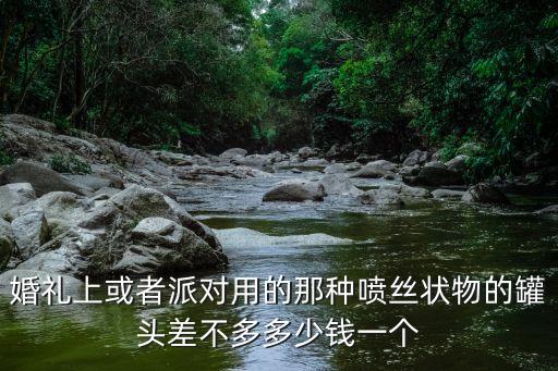 婚禮上或者派對用的那種噴絲狀物的罐頭差不多多少錢一個(gè)