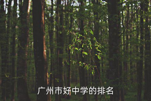 廣州外國(guó)語(yǔ)學(xué)校附屬中學(xué)排名第幾，廣州市好中學(xué)的排名
