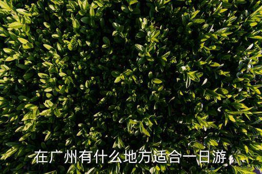在廣州有什么地方適合一日游