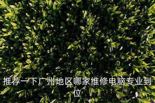 推薦一下廣州地區哪家維修電腦專業到位