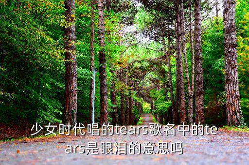 少女時代唱的tears歌名中的tears是眼淚的意思嗎
